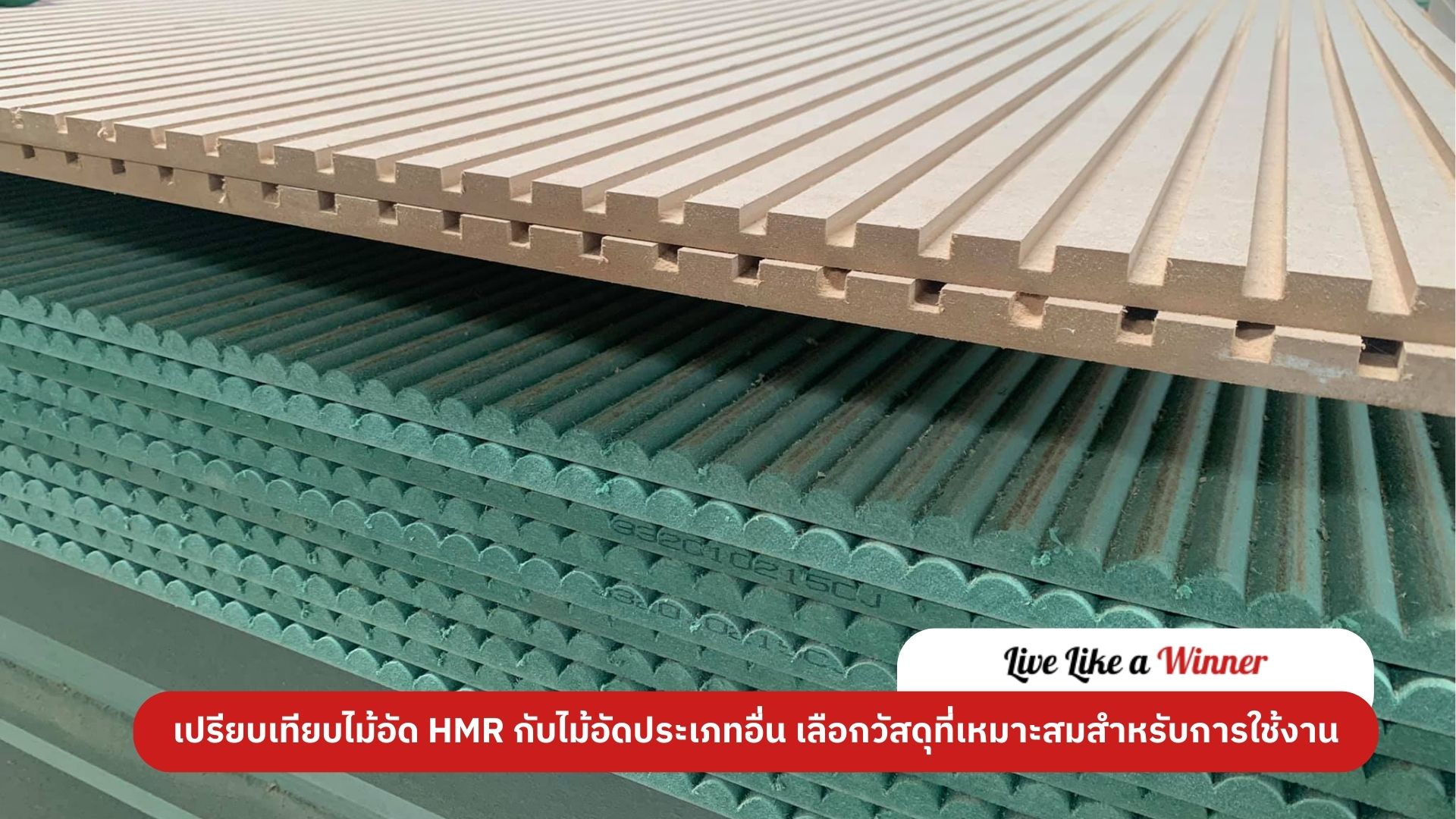 เปรียบเทียบไม้อัด HMR กับไม้อัดประเภทอื่น เลือกวัสดุที่เหมาะสมสำหรับการใช้งาน